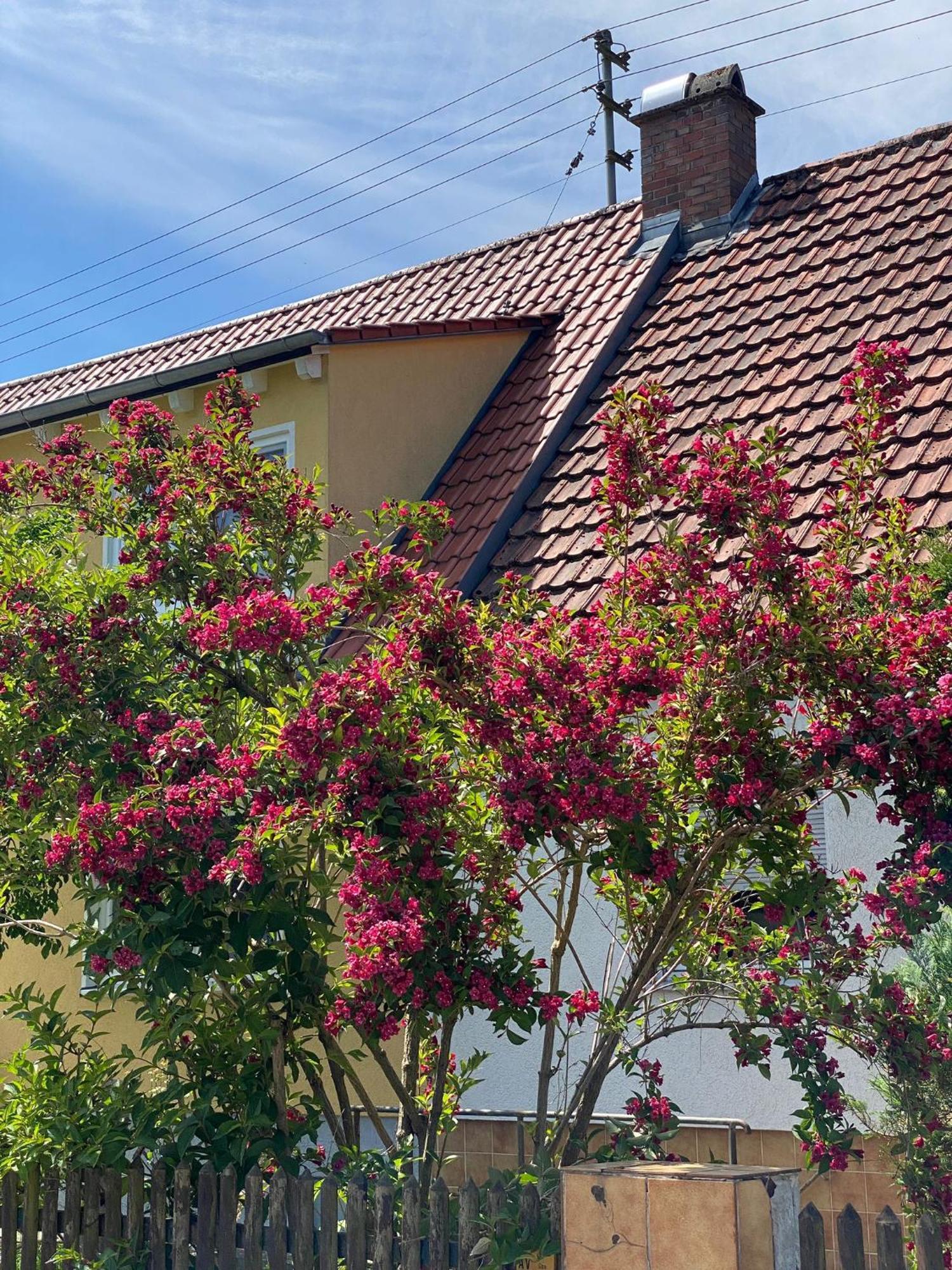 Haus Am Kuhsee Augsburg Zewnętrze zdjęcie